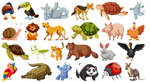 Extremos do mundo animal e suas curiosidades chamativas