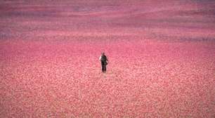 Série inspirada em obra-prima de Isabel Allende estreia em 29 de abril