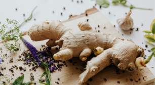 Gengibre em casa: o passo a passo para um cultivo eficiente em vasos e apartamentos