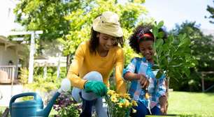 O que plantar em maio: hortaliças e flores ideais para cultivar no mês