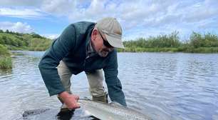 Como se comporta um salmão viciado em cocaína em um lago? Nós temos a resposta, e ela é mais importante do que parece