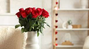 5 plantas para atrair mais amor para a sua vida