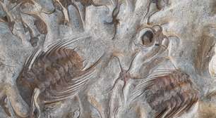 Doenças do passado: trilobitas feridos, dinossauros mancos e outras enfermidades pré-históricas