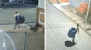 Homem furta casinha de cachorro comunitário e causa revolta em Sorocaba