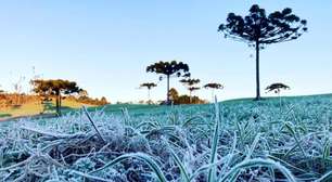 RS registra menor temperatura do ano nesta terça-feira com marcas negativas e geada em diversas regiões