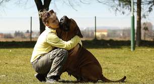 Como construir um forte vínculo com o seu cão? Estudo responde!