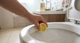 Limão no vaso sanitário: esse truque realmente funciona?