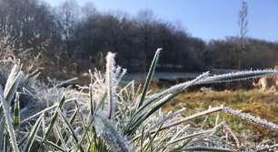 Vacaria registra -2ºC, a menor temperatura do ano no Rio Grande do Sul