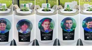 Mamonas assassinas: sementes plantadas com cinzas da banda já viraram mudas