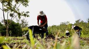 Projeto de Lei propõe facilitar acesso de pequenos produtores a máquinas agrícolas em Porto Alegre