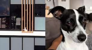 Brasileiro ajuda a resgatar cadelinha que estava no guarda-corpo do 13º andar de prédio na Austrália