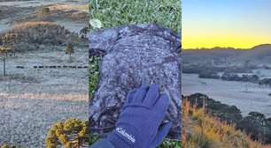 Sul do Brasil amanhece com temperatura negativa e até camisetas ficam congeladas; veja fotos