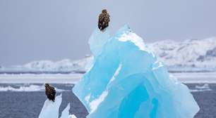 Por que a Europa está esquentando duas vezes mais rápido que o resto do planeta?