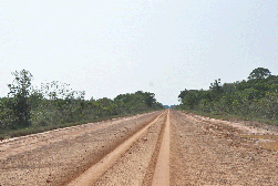 Amazônia: Justiça autoriza o Dnit a reativar licitações para obras da BR-319