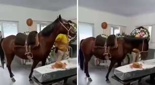 Égua relincha ao se despedir de dono em velório em SC e emociona família