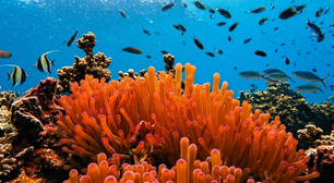 EcoRodovias testa energia do mar em rodovias