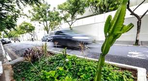 Câmara de SP aprova leis para 'vagas verdes' e adaptação climática em escolas municipais