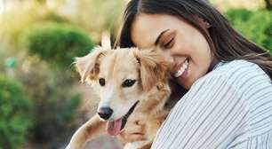 Quanto tempo vive um cachorro? Descubra de acordo com a raça