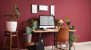 Seu ambiente de trabalho está alinhado ao Feng Shui para gerar resultados?