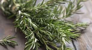 Ferver alecrim é a melhor dica caseira que aprendi com a minha avó: transforma o ambiente da sua casa