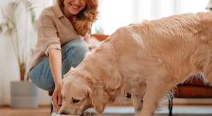 Não erre mais: saiba quantas vezes ao dia dar comida para pets?