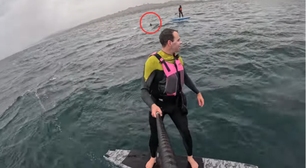 Tubarão persegue surfista por cerca de 4 minutos na Califórnia; veja vídeo