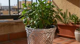 Vale a pena colocar papel alumínio nos vasos das plantas?