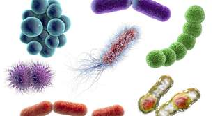 Composto usado em cosméticos surpreende cientistas ao mostrar potencial contra bactérias resistentes a antibióticos