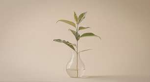 Plantas aquáticas? Saiba como transformar sua casa com com a ajuda da natureza