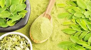 Moringa oleifera: seus benefícios e a proibição da Anvisa no Brasil