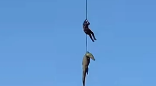 Policial é içado de helicóptero com crocodilo para recuperar restos mortais de empresário; veja vídeo