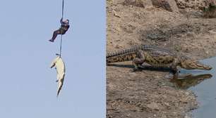 Entenda a história por trás da imagem do crocodilo içado por helicóptero na África do Sul