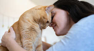 Entre Ciência e Afeto: Por Que os Nossos Animais Também Cuidam