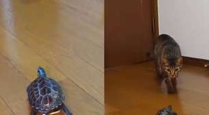 Os animais mais lentos do mundo