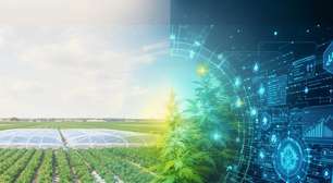 Nem tratores, nem agricultores: a China revela a megaestrutura bizarra perfeita para cultivar comida fresca, barata e infinita para alimentar bilhões de pessoas