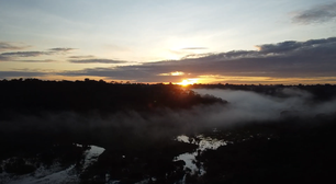 Curso gratuito do Sesc revela o papel da Amazônia no Modernismo