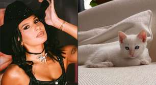 Ana Castela ganha gato em show e pai veta escolha do nome; entenda!