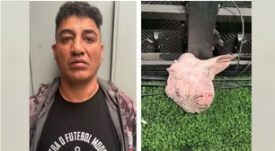 Torcedor do Corinthians que atirou cabeça de porco em gramado é preso suspeito de estupro