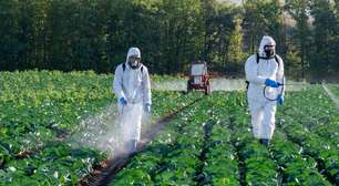 O aroma da chuva esconde um segredo: microrganismos do solo que produzem toxinas contra insetos