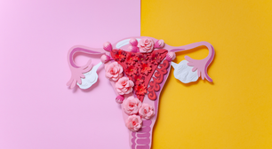 O Diabo Veste Prada 2 traz à tona debate sobre congelamento de óvulos e fertilidade feminina