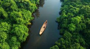 Veja a parceria de US$ 627 milhões para transição no Amazonas