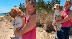 Cachorro resgatado de canil com histórico de maus-tratos nos EUA tem reação emocionante ao ver o mar