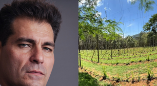 Um paraíso de 3 mil m² e que serve até para a produção de cerveja: Thiago Lacerda, galã de 'Terra Nostra', é dono dessa fazenda em destino paradisíaco do RJ