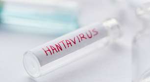 Hantavírus: OMS esclarece riscos para a população global