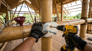 Brasil se junta a Colômbia, Indonésia e Filipinas ao usar o bambu gigante como aço estrutural nas casas: o que muda na resistência a terremotos e no preço da obra