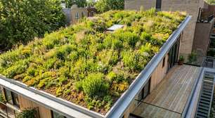 Como a arquitetura bioclimática utiliza coberturas vegetais para mitigar ilhas de calor na sua casa