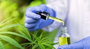 Nesta sexta, Comissão da Alerj debate regulação do uso da cannabis medicinal