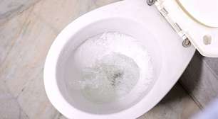 Gelo no vaso sanitário: entenda para que serve a trend e se realmente funciona