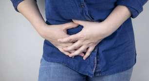 Apêndice não é inútil: órgão pode funcionar como "reserva" de bactérias boas do intestino
