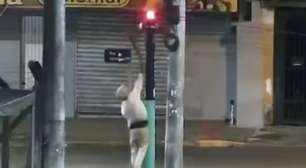 Mulher destrói totem de segurança horas após instalação e acaba detida em Novo Hamburgo
